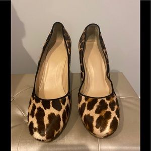 J Crew Collection calf hair leopard platform heels
